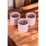 Yapay Çiçek Deposu Mini Kaktüs Sukulent Saksısı 3lü Set Pastel Pembe Trend Model 10 Cm