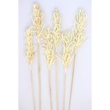 Yapay Çiçek Deposu Natural Doğal Örgü Palm Possy Exotic 6 Adet