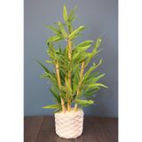 Yapay Çiçek Deposu Saksıda Lüx Bambu Ağacı Açık Yeşil 65 Cm (TAŞLI MODEL) Yeşil