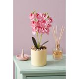 Yapay Çiçek Deposu Saksıda Yapay Mini 2'li Mariposa Orkide Tanzimi 27 cm Pembe Çizgili