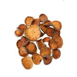 Yapay Çiçek Deposu Tropic Kuru Bell Cup Slice 28li Paket 200gr