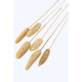 Yapay Çiçek Deposu Tropikal Tropic Luffa Kuru Çiçek Bambu Saplı 6 Adet