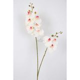 Yapay Çiçek Deposu Yapay 3D 2li Islak Orkide Çiçeği 90 cm Beyaz-Pembe