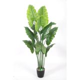 Yapay Çiçek Deposu Yapay Ağaç Alocasia Fil Kulağı Ağacı 165 cm