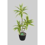 Yapay Çiçek Deposu Yapay Ağac Dracena 3 Dallı Gerçek Dokulu 75 cm