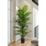 Yapay Çiçek Deposu Yapay Ağaç Yoğun Yapraklı Premium Difenbahya 160-170 cm Yeşil-Sarı (34 Yapraklı)