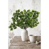 Yapay Çiçek Deposu Yapay Bitki Astilbe Dalı 35 cm Yeşil