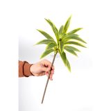 Yapay Çiçek Deposu Yapay Bitki Dracaena Reflexa Dalı 60 Yeşil-Sarı