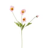 Yapay Çiçek Deposu Yapay Çiçek 4lü Gelincik Dalı 60 cm Pudra