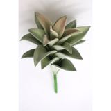 Yapay Çiçek Deposu Yapay Çiçek Büyük Succulent Sukulent Graptopetalum 25 Cm