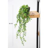 Yapay Çiçek Deposu Yapay Çiçek Yoğun Yapraklı Yeşil Okaliptus Sarkıt Sarmaşık Sarkan Bitki (Siyah Mika Saksılı) 80 cm