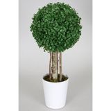 Yapay Çiçek Deposu Yapay Küçük Şimşir Ağacı 50 Cm Beyaz Saksılı