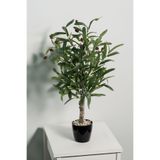 Yapay Çiçek Deposu Yapay Mini Zeytin Ağacı 60 cm
