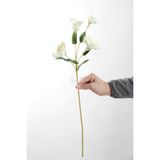 Yapay Çiçek Deposu Yapay Premium Lisyantus Dalı 70 cm Beyaz