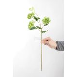 Yapay Çiçek Deposu Yapay Premium Lisyantus Dalı 70 cm Yeşil