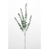 Yapay Çiçek Deposu Yapay Retro Pastel Okaliptus Dalı 88 cm Pudrali-Yesil