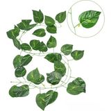 Yapay Çiçek Deposu Yapay Sarmaşık Oval Model 12LI Paket 230 cm