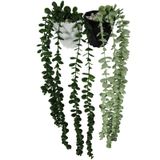 Yapay Çiçek DIY Elmas Saksı İçerisinde Sarkan Okaliptus 2'li Set Çok Renkli