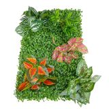 Yapay Çiçek Duvar Kaplama Panel Şimşir 40*60 5Demet Yeşil Bitki Dik Duvar Uygulama Çiçeği