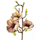 Yapay Çiçek Eva Krem Mor Açık Manolya 3 Çiçekli Uzun Dal 70Cm Gerçeksi Doku Vitrin