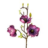 Yapay Çiçek Eva Mürdüm Manolya 3 Çiçekli Uzun Dal 70Cm Gerçeksi Doku Vitrin