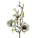 Yapay Çiçek Eva Yeşil Manolya 3 Çiçekli Uzun Dal 70Cm Gerçeksi Doku Vitrin