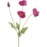 Yapay Çiçek Gelincik Çiçeği Fuşya Renk 3 Çiçek 1 Tomurcuk 59CM - Pembe