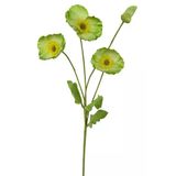 Yapay Çiçek Gelincik Çiçeği Sert Kumaş Yeşil Renk 3 Çiçek 1 Tomurcuk 59Cm Vitrin