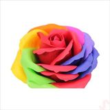 Yapay Çiçek, Gökkuşağı 7/8 cm Sabun Gül Kafası - 1 Adet