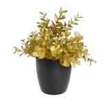 Yapay Çiçek Gold Renk Şimşir Siyah Saksıda Siyah Plastik Saksılı Dekoratif Süs Çiçeği