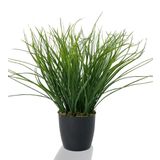 Yapay Çiçek Grass Saz Yapay Bitki Siyah Plastik Saksılı Dekoratif Süs Çiçeği