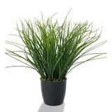 Yapay Çiçek Grass Saz Yapay Bitki Siyah Plastik Saksılı Dekoratif