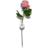 Yapay Çiçek Islak Dokulu Gül 40CM - Şeker Pembe