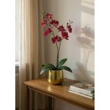 Yapay Çiçek Islak Orkide Gold Metal Saksıda Saksıda Orkide 50Cm