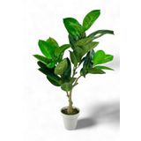 Yapay Çiçek Kauçuk Ağacı 85Cm Salon Çiçeği Beyaz Saksılı Yapay Bitki