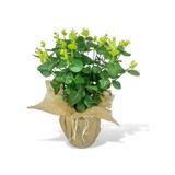 Yapay Çiçek Keten Saksıda Okaliptus Yeşil 12dal 40cm Salon Çiçeği Yapay Bitki