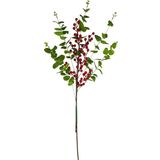 Yapay Çiçek Kokina Ve Yeşil Okaliptus 90Cm Uzun Dal Eucalyptus