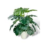 Yapay Çiçek Krem Saksıda Monstera Deve Tabanı Yeşil Doğal Dokulu 18dal 50cm Salon Çiçeği Yapay Bitki