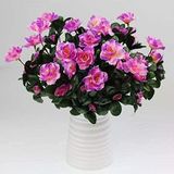 Yapay Çiçek Lila Açık Açelya Demeti 7 Dallı 33*20cm