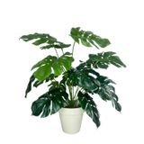 Yapay Çiçek Monstera Salon Çiçeği 50cm Beyaz Saksılı Yapay Bitki