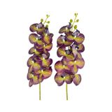 Yapay Çiçek Mor Sarı Çizgi Desenli Islak Orkide Gerçeksi Doku Uzun Dal 90 Cm