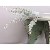 Yapay Çiçek Pastel Karlı Okaliptus 48Cm 5Dallı Uzun Dal Eucalyptus