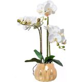 Yapay Çiçek Poliüretan Sahte Orkide Altın Vazo Yapay Phalaenopsis Çiçekler Saksı Gerçek Bitki Çiçek Aranjmanı Yapay Çiçekler Güzel Şeki