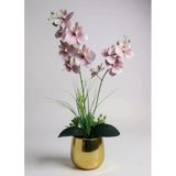 Yapay Çiçek Pudra Pembe Islak Orkide Gold Metal Saksıda Saksıda Orkide 50Cm