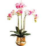 Yapay Çiçek Sahte Orkide Saksı Çiçek Seti Yapay Phalaenopsis Çiçekler Masa Dekorasyonu Yapay Çiçekler Gerçekçi Görünümlü Bitkiler Güzel Şekil