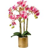 Yapay Çiçek Saksı Yapay Phalaenopsis Çiçek Aranjmanı Yapay Çiçekler Ev Ofis Banyo Için Vazolu Sahte Orkideler, Güzel Şekil - Standart - Çok Renkli