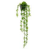 Yapay Çiçek Saksıda Sarkan Okaliptus 80cm