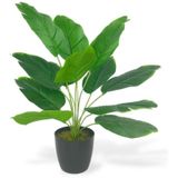 Yapay Çiçek Saksıda Yeşil Muz Yapraklı 12Dal 50cm Salon Çiçeği Yapay Bitki