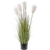 Yapay Çiçek Saksılı Salon Bitkisi Beyaz Püskül Grass Panpas