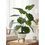 Yapay Çiçek Salon Bitkisi Pothos 70cm 18 Yaprak Beyaz Zigon Saksıda